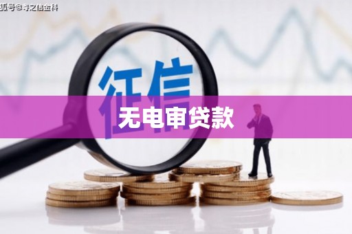 博湖无电审贷款