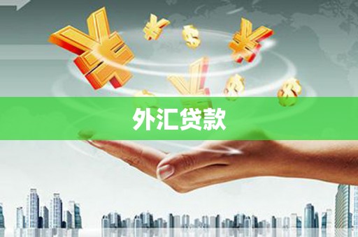 博湖外汇贷款