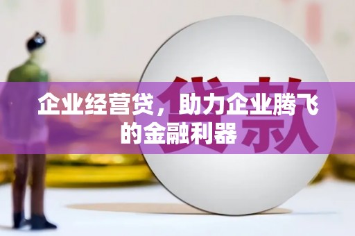 博湖企业经营贷，助力企业腾飞的金融利器