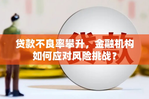 博湖贷款不良率攀升，金融机构如何应对风险挑战？