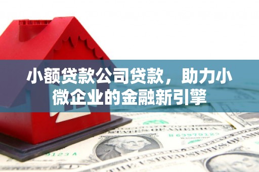 博湖小额贷款公司贷款，助力小微企业的金融新引擎
