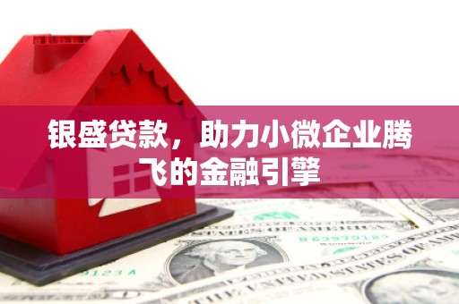 博湖银盛贷款，助力小微企业腾飞的金融引擎