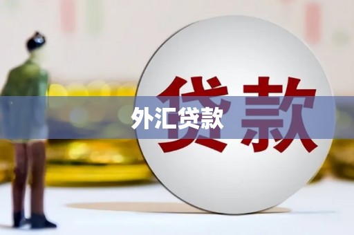 博湖外汇贷款