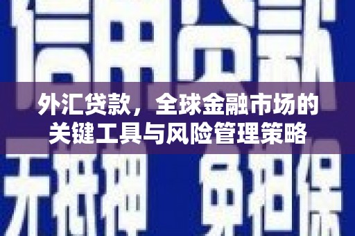 博湖外汇贷款，全球金融市场的关键工具与风险管理策略