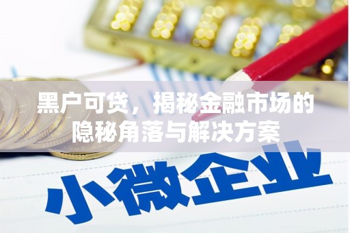 博湖黑户可贷，揭秘金融市场的隐秘角落与解决方案