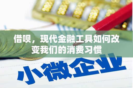 博湖借呗，现代金融工具如何改变我们的消费习惯