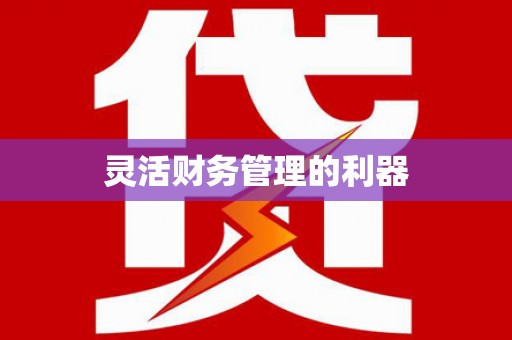 博湖灵活财务管理的利器