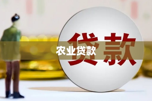 博湖农业贷款