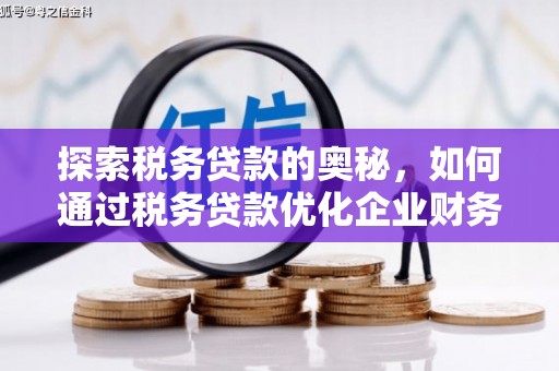 博湖探索税务贷款的奥秘，如何通过税务贷款优化企业财务