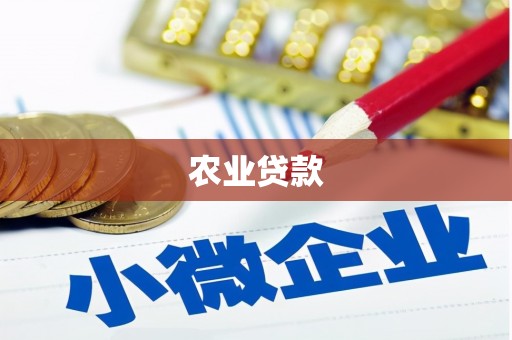 博湖农业贷款