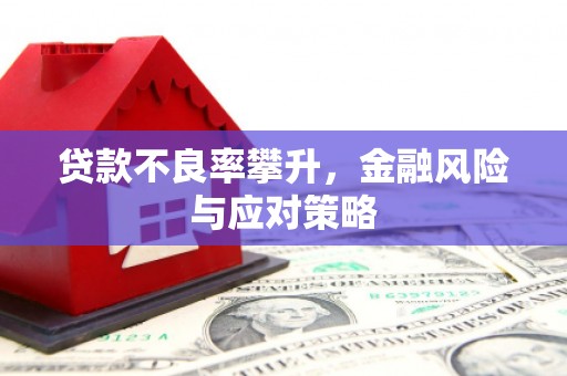博湖贷款不良率攀升，金融风险与应对策略