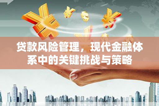 博湖贷款风险管理，现代金融体系中的关键挑战与策略
