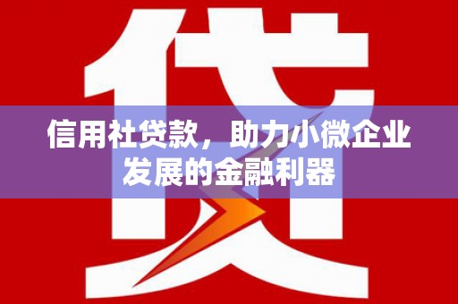 博湖信用社贷款，助力小微企业发展的金融利器