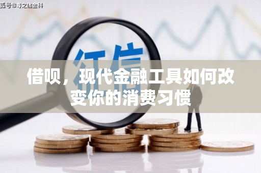 博湖借呗，现代金融工具如何改变你的消费习惯
