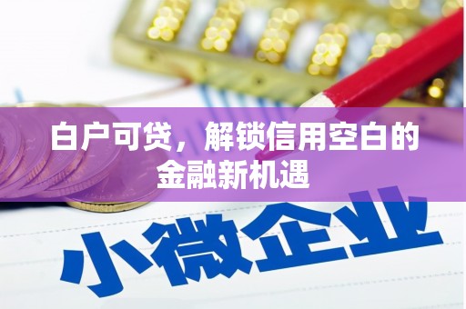 博湖白户可贷，解锁信用空白的金融新机遇