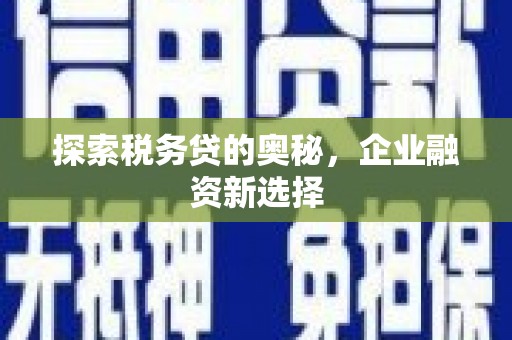 博湖探索税务贷的奥秘，企业融资新选择
