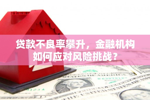 博湖贷款不良率攀升，金融机构如何应对风险挑战？