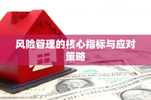 博湖风险管理的核心指标与应对策略