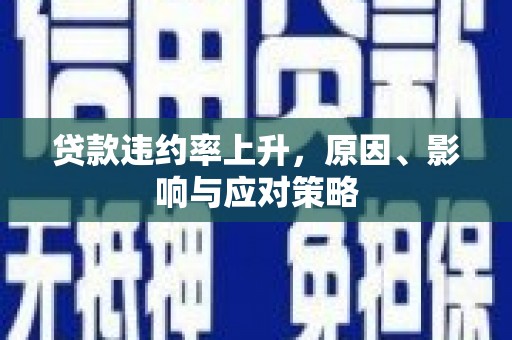 博湖贷款违约率上升，原因、影响与应对策略