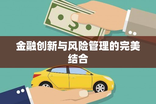 博湖金融创新与风险管理的完美结合
