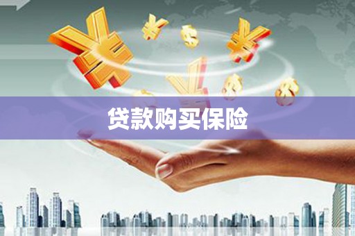 博湖贷款购买保险