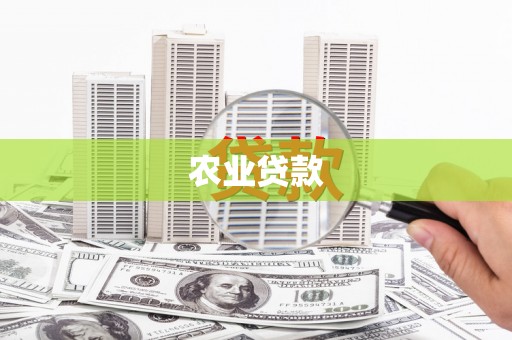博湖农业贷款