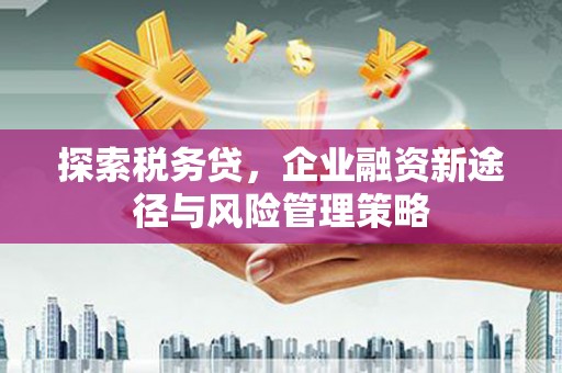 博湖探索税务贷，企业融资新途径与风险管理策略