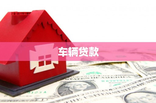 博湖车辆贷款