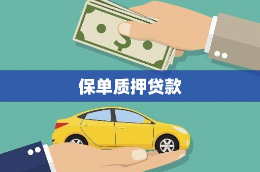 博湖保单质押贷款