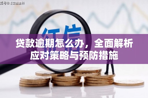 博湖贷款逾期怎么办，全面解析应对策略与预防措施