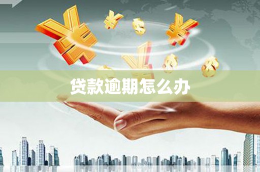 博湖贷款逾期怎么办