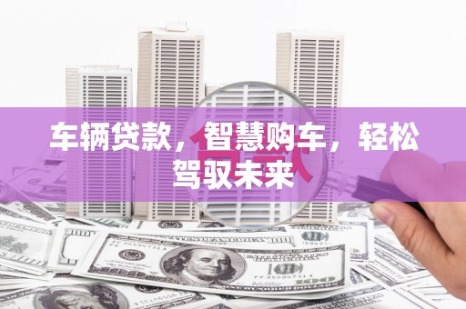 博湖车辆贷款，智慧购车，轻松驾驭未来