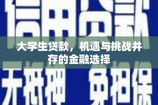 博湖大学生贷款，机遇与挑战并存的金融选择