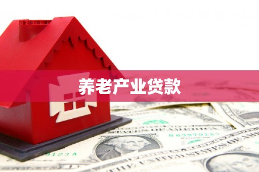 博湖养老产业贷款