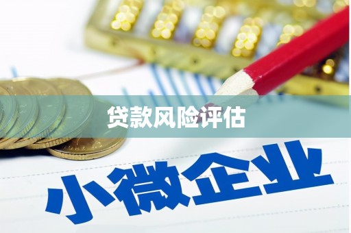 博湖贷款风险评估