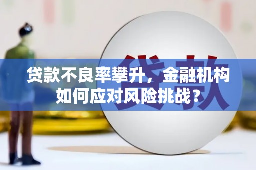 博湖贷款不良率攀升，金融机构如何应对风险挑战？