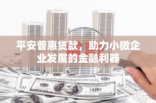 博湖平安普惠贷款，助力小微企业发展的金融利器