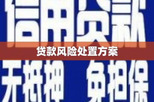 博湖贷款风险处置方案