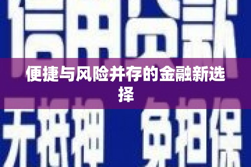 博湖便捷与风险并存的金融新选择
