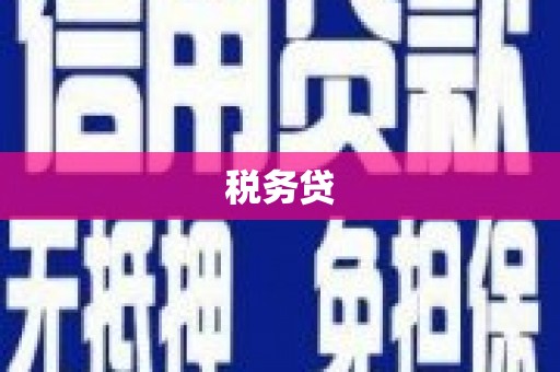 博湖税务贷