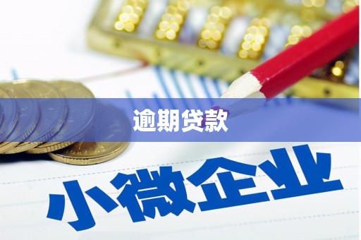 博湖逾期贷款