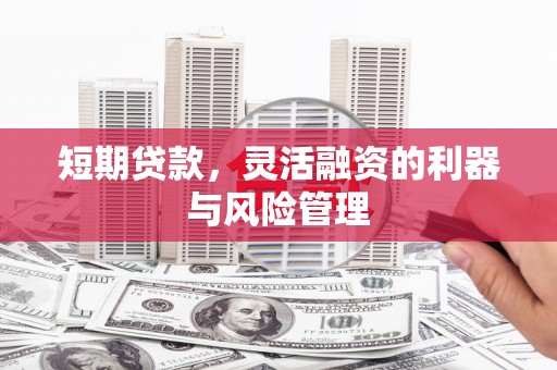 博湖短期贷款，灵活融资的利器与风险管理